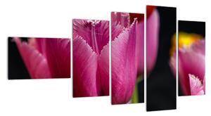 Tulipány - obrazy (110x60cm)