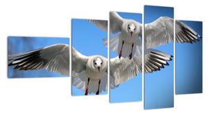 Obraz do bytu - ptáci (110x60cm)
