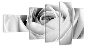 Černobílý obraz růže (110x60cm)