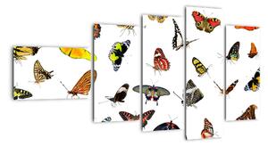 Obrazy motýlů (110x60cm)