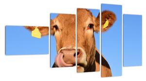 Obraz krávy (110x60cm)