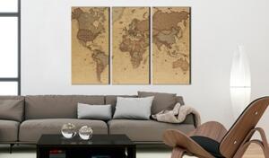 Obraz - Stylish World Map