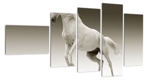 Obrazy bílého koně (110x60cm)