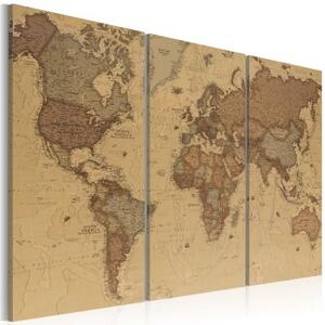 Obraz - Stylish World Map