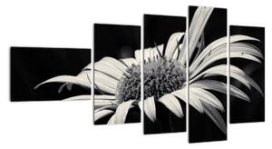 Černobílý obraz květu (110x60cm)