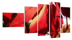 Obraz červených listů (110x60cm)