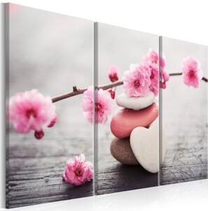 Obraz - Zen: Cherry Blossoms II