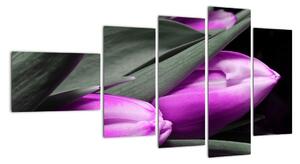 Obraz fialových tulipánů (110x60cm)