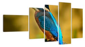 Obraz - barevný pták (110x60cm)