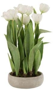 Umělá květina J-line tulipány v květináči 30x31x48cm, bílá
