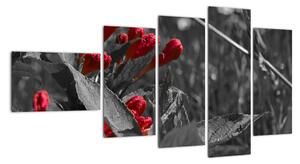 Červené květy - moderní obrazy (110x60cm)