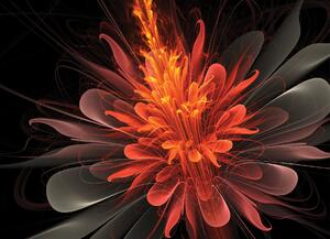 Malvis ® Tapeta Ohnivá květina Vel. (šířka x výška): 144 x 105 cm