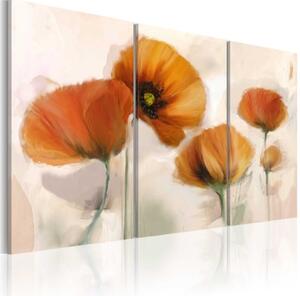 Obraz - Artistic poppies - triptych
