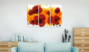 Obraz - Sunny afternoon and poppies
