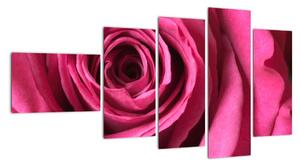 Obraz růžové růže (110x60cm)
