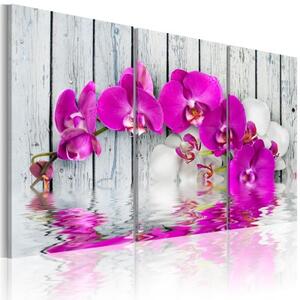 Obraz - harmonie: orchidea - triptych