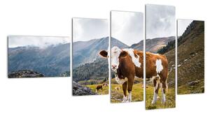 Obraz krávy na louce (110x60cm)