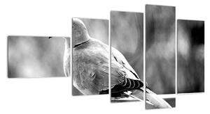 Černobílý obraz ptáka (110x60cm)