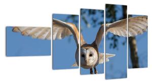 Obraz letící sovy (110x60cm)