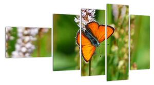 Moderní obraz motýla na louce (110x60cm)