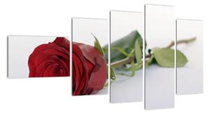 Obraz rudé růže (110x60cm)