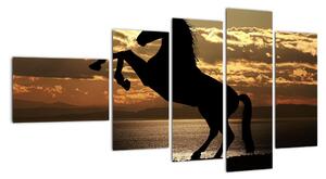 Obraz koně na zadních (110x60cm)