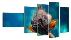 Obraz - ryba (110x60cm)
