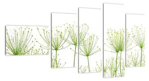 Obraz rostlin na bílém pozadí (110x60cm)