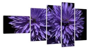 Obraz fialových květů (110x60cm)