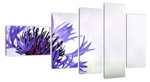 Obraz fialového květu (110x60cm)