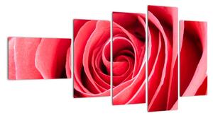 Obraz červené růže (110x60cm)