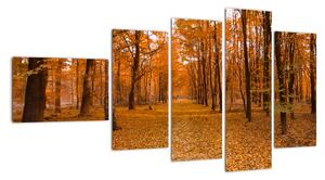 Obraz lesní cesty (110x60cm)