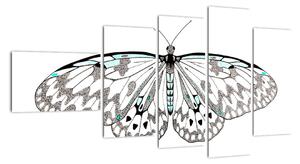 Černobílý motýl (110x60cm)