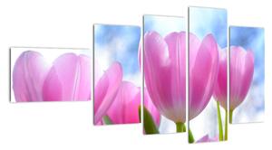 Obraz růžových tulipánů (110x60cm)
