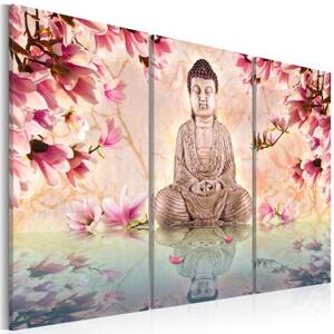 Obraz - Buddha - meditace