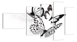 Obraz motýlů (110x60cm)