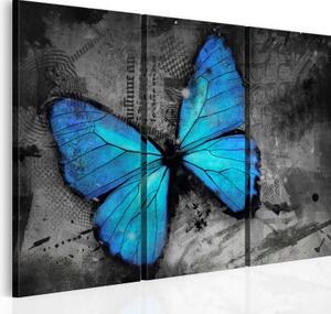 Obraz - The study of butterfly - triptych