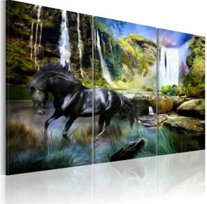 Obraz - Horse on the sky-blue waterfall background