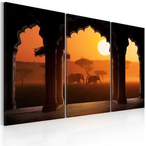 Obraz - The tranquillity of Africa - triptych