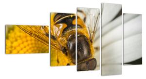 Obraz - detail včely (110x60cm)