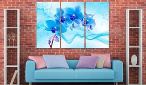 Obraz - Ethereal orchid - blue