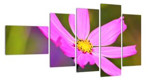 Obraz květiny (110x60cm)
