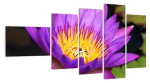Obraz květiny (110x60cm)