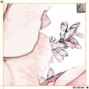 Malvis ® Tapeta Květinový vzor růžová Vel. (šířka x výška): 144 x 105 cm