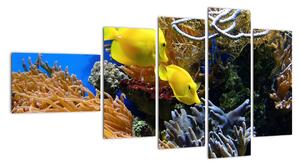 Podmořský svět - obraz (110x60cm)