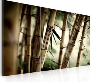 Obraz - Bambusová harmonie