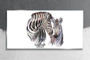 Obraz na skle Obraz na skle Zebra Animal Strips