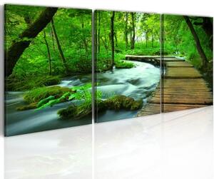 Obraz - Forest broadwalk - triptych