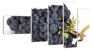 Obraz s hroznovým vínem (110x60cm)