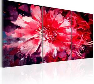 Obraz - Crimson Flowers